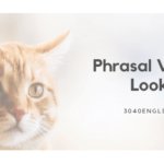 look の熟語・英語表現・イディオム30選【例文あり】