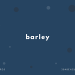 barley の意味と簡単な使い方【音読用例文あり】