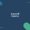 wound と injury の違いとは？【英語表現・例文あり】