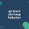 【エビ】prawn・shrimp・lobster の違いとは？【音読用例文あり】