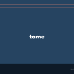 tame の意味と簡単な使い方【音読用例文あり】