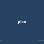plea の意味と簡単な使い方【音読用例文あり】