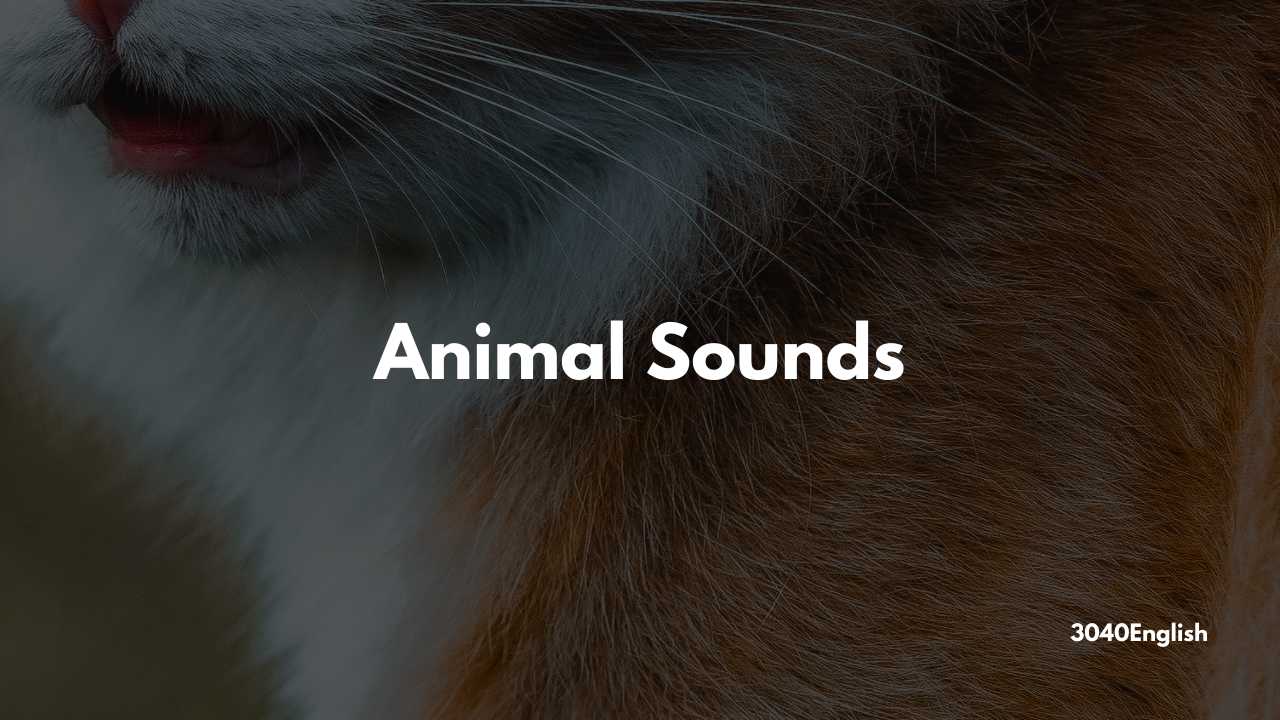 犬 猫 鳥 セミなどが鳴く 鳴き声 の英語一覧 例文あり