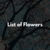 【フラワー】「花」の名前の英語一覧153種【例文あり】