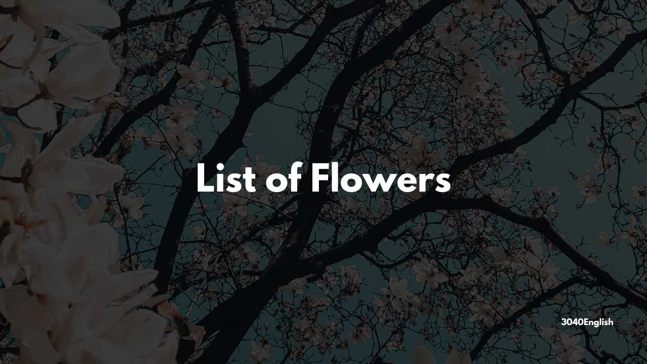 フラワー 花 の名前の英語一覧153種 例文あり