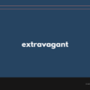 extravagant の意味と簡単な使い方【音読用例文あり】